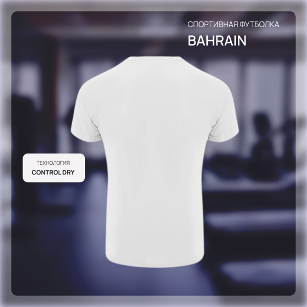 Спортивная футболка BAHRAIN мужская / Спортивная мужская футболка с технологией Control Dry и с рукавом реглан